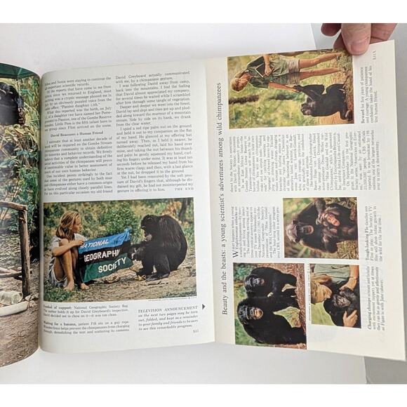 Lot of 3 Jane Goodall National Geographic Magazines 1963 Disneyland 1965 1995 - Picture 12 of 16